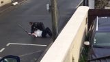 一名武装女子被警察解除武装 (法国)