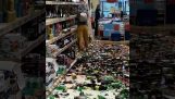 A woman breaks hundreds of bottles in a supermarket