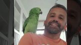 A parrot imitates other animals