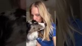 Et si vous embrassiez votre chien ?;