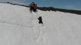 Ein Teddybär folgt seiner Mutter auf einem schneebedeckten Berg