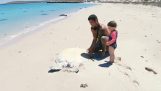Salvarea unei broaște țestoase de mare imens pe plaja (Australia)