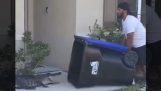 Той хвана алигатор с кофа за боклук