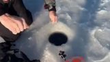 Łowienie pod lodem z niespodzianką