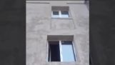 Подравнете прозорците в сграда