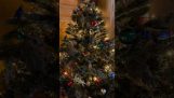 A strange Christmas tree