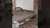 Lifting concrete slab with foam