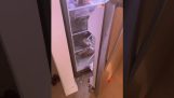 Een kind berooft de koelkast