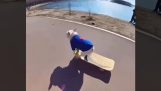 Câinele cu skateboardul