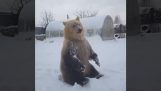 熊爱雪