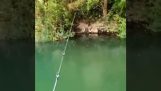 Sikeres horgászat