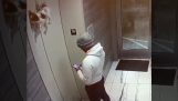 Cachorro pendurado em elevador