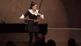 Presentasjonen av et tradisjonelt musikkinstrument fra Kina
