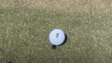 Bir golf oyununda yardımcı böcek