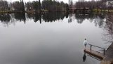 تراجع في بحيرة في فنلندا