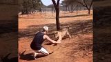 Hugs with a lion