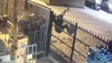 Thief caught in the rails of a supermarket