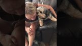 Furious Hund geben Küsse