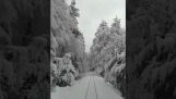 Tour com um trem na neve Córsega