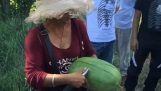 Hvordan å kutte en vannmelon i Mongolia