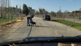 Човек напушта пса на улици