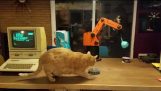 Gatto-robot feed
