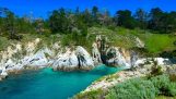 Rezerwat przyrody Point Lobos Państwa