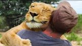Animals Hugging People – Animale compilație Oamenii care se îmbrățișează